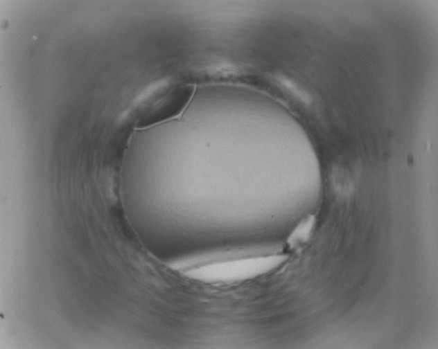 X0000066001205200603172157