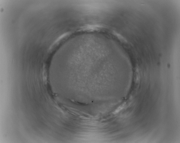 X0000066001206200603172157