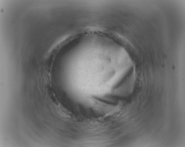 X0000066001207200603172157