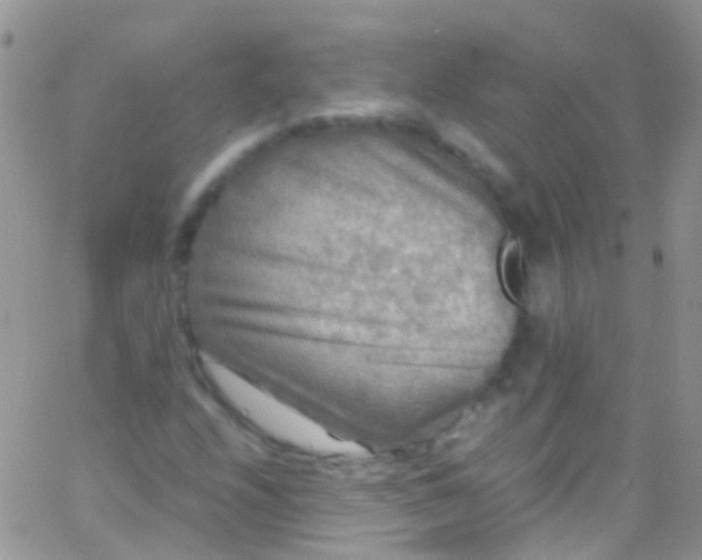 X0000066001208200603172157