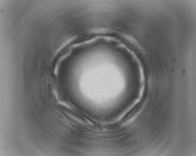 X0000066001209200603172157