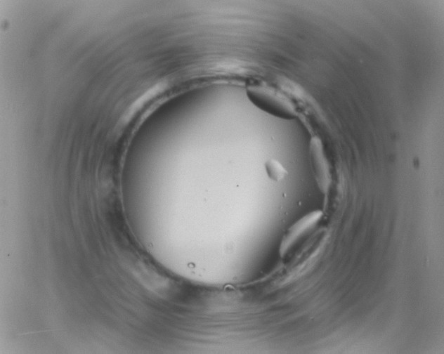 X0000066001210200603172157