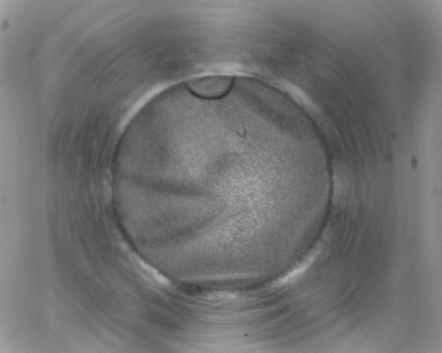 X0000066001212200603172157