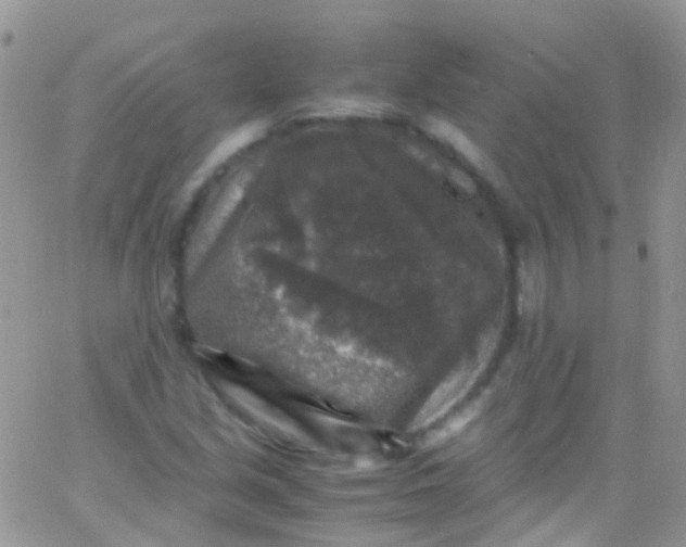 X0000066001213200603172157