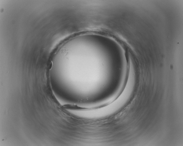 X0000066001214200603172157