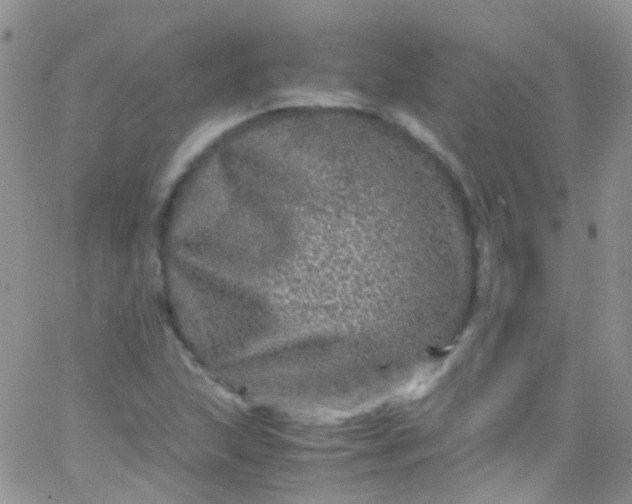 X0000066001215200603172157