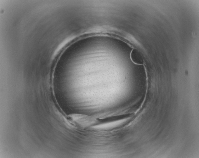 X0000066001216200603172157