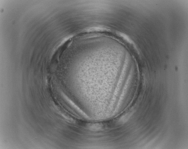 X0000066001217200603172157