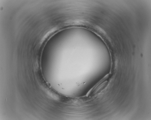 X0000066001218200603172157