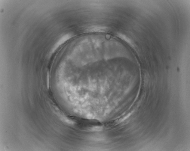 X0000066001219200603172157