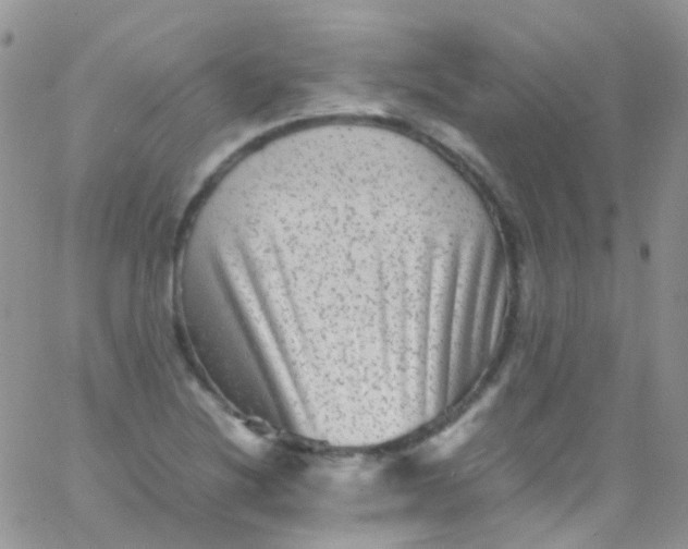 X0000066001220200603172157