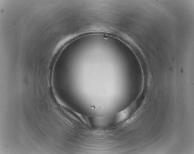 X0000066001222200603172157