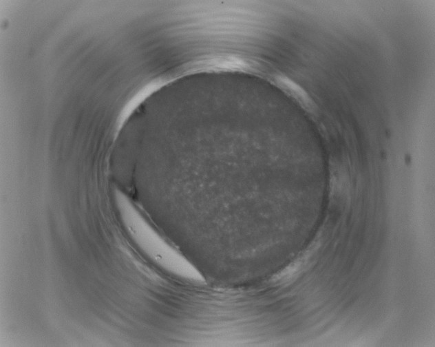 X0000066001226200603172157