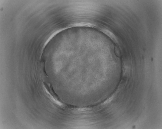 X0000066001228200603172157