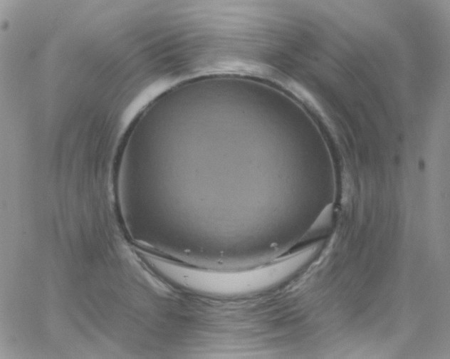 X0000066001230200603172157