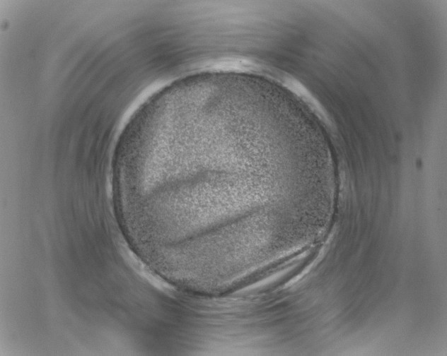 X0000066001232200603172157