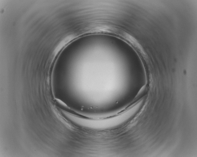 X0000066001234200603172157