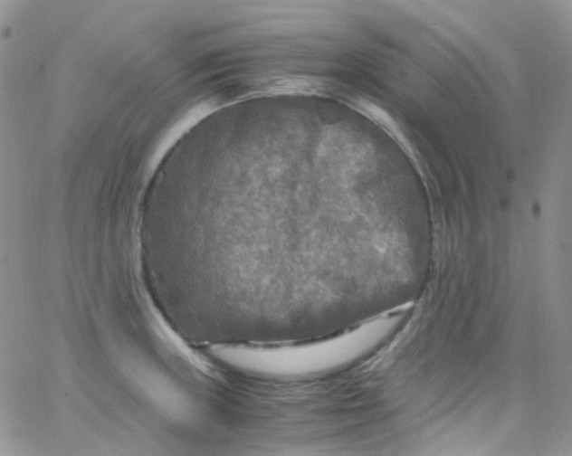 X0000066001235200603172157