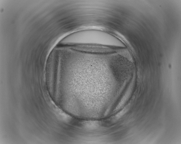 X0000066001236200603172157