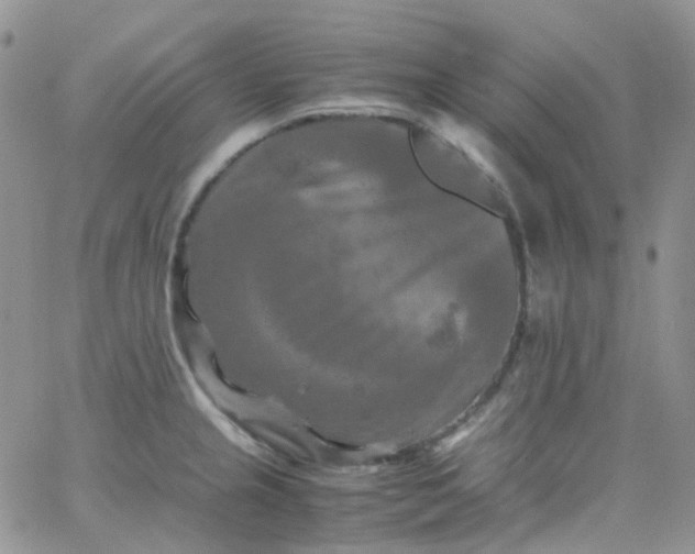 X0000066001237200603172157