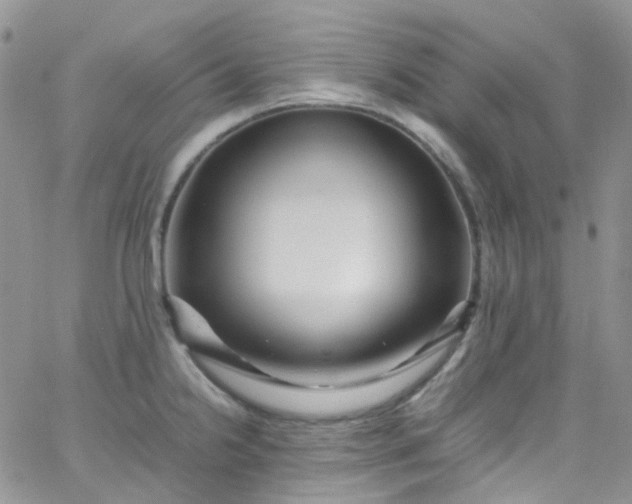 X0000066001238200603172157