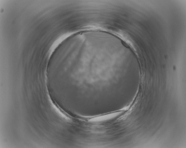 X0000066001239200603172157