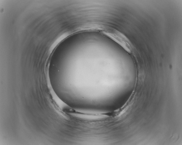 X0000066001242200603172157