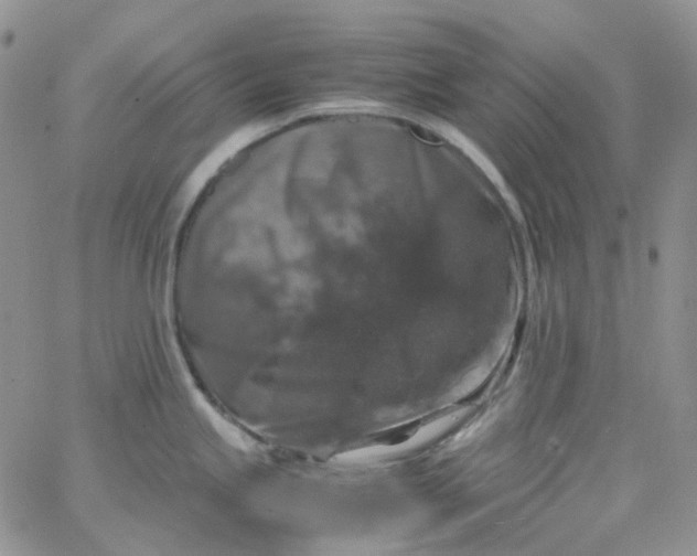 X0000066001245200603172157