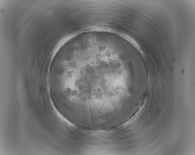 X0000066001247200603172157