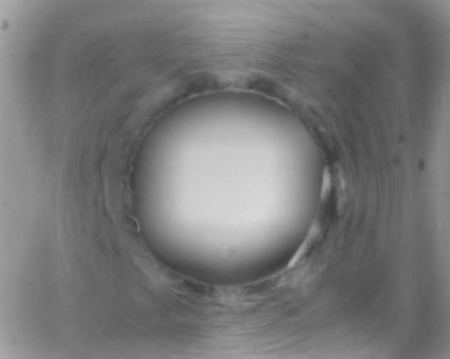 X0000066001249200603172157