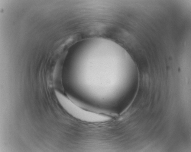 X0000066001250200603172157