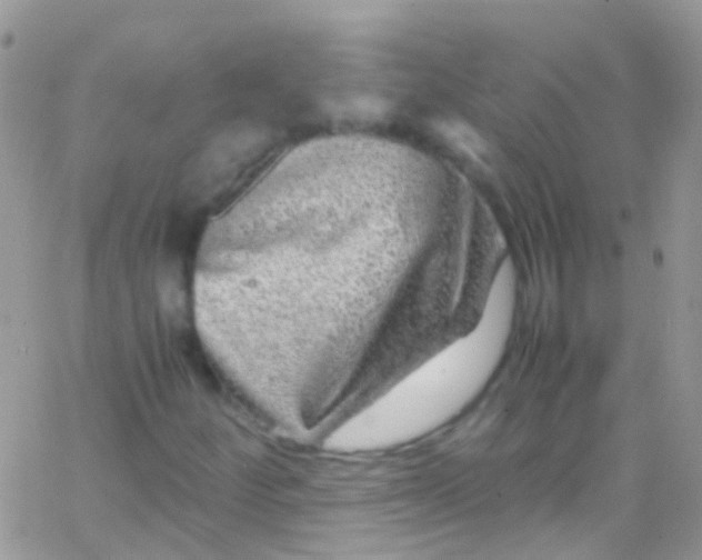 X0000066001252200603172156