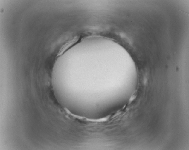 X0000066001253200603172156