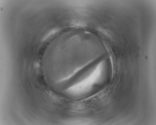 X0000066001254200603172156