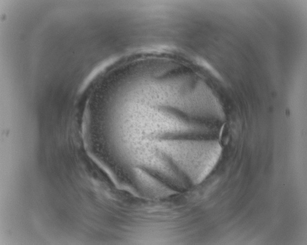 X0000066001256200603172156