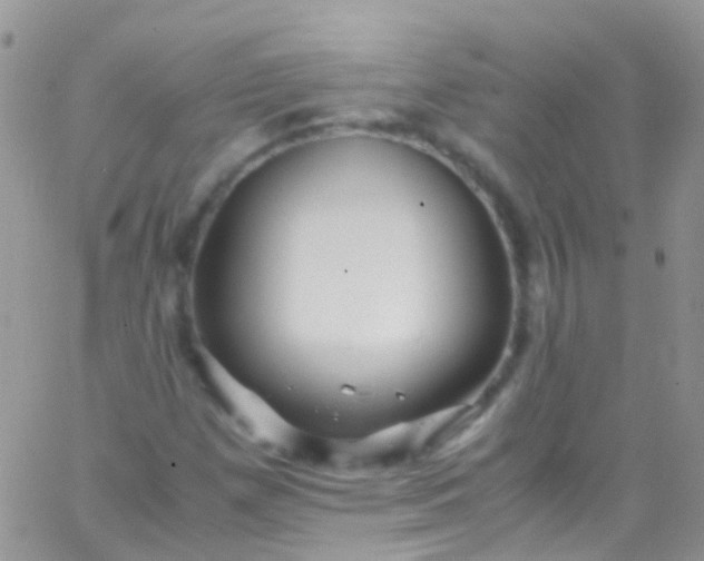 X0000066001257200603172156