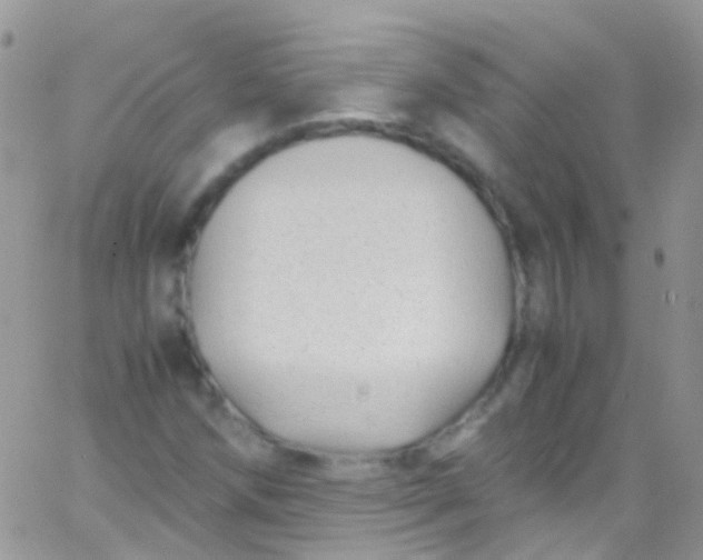 X0000066001258200603172156