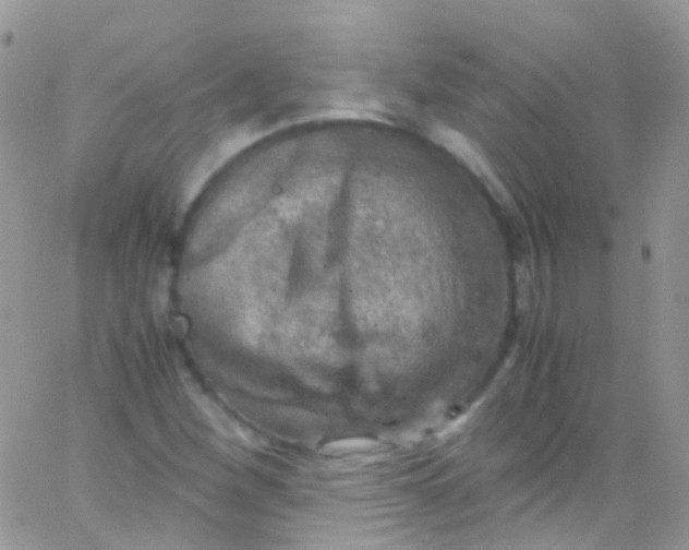 X0000066001260200603172156