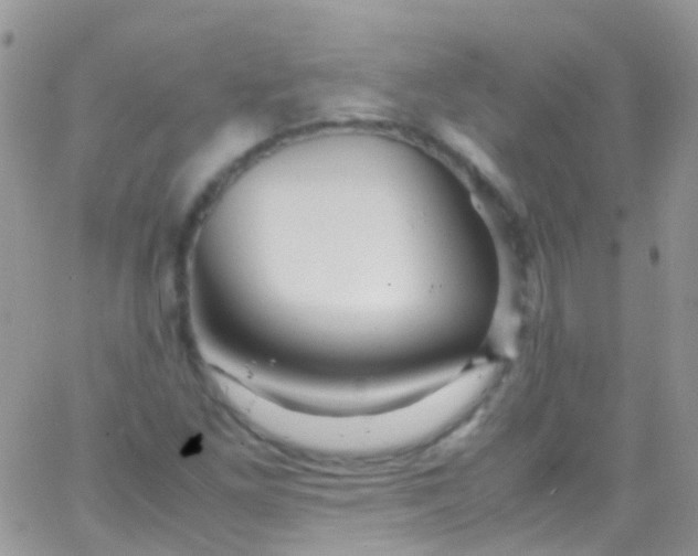 X0000066001261200603172156