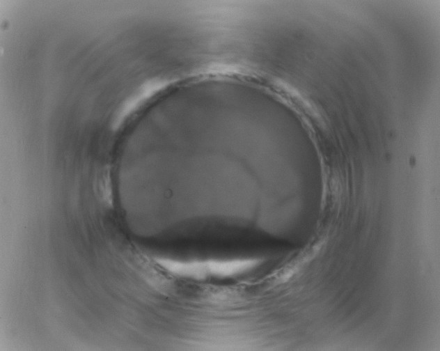 X0000066001262200603172156