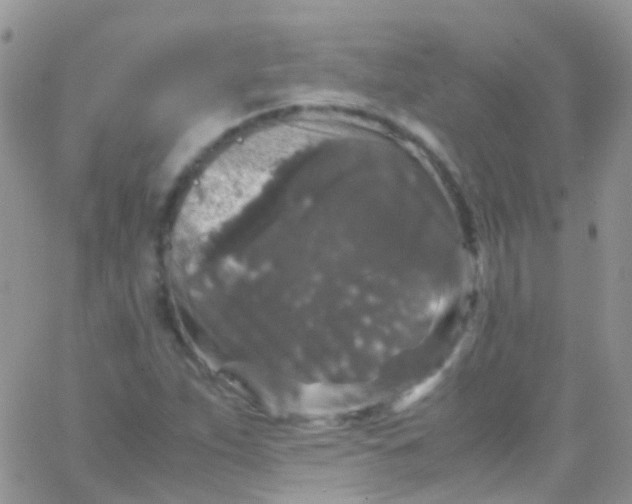 X0000066001263200603172156