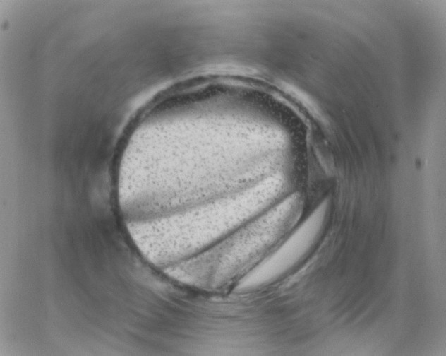 X0000066001264200603172156