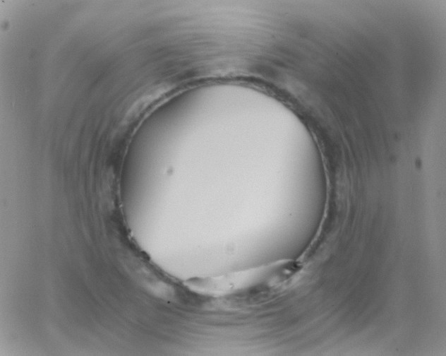 X0000066001265200603172156