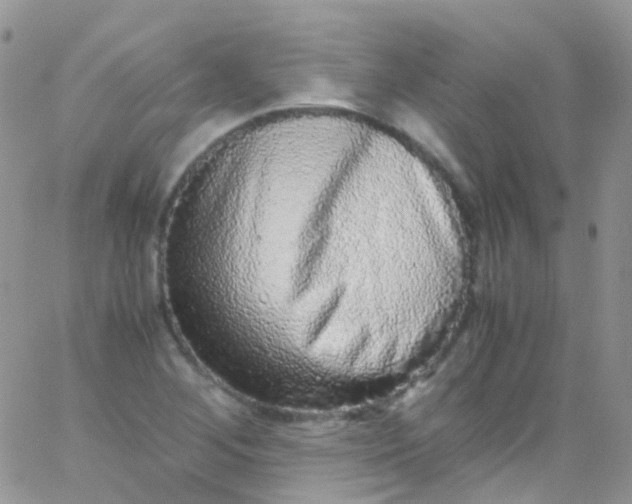 X0000066001268200603172156