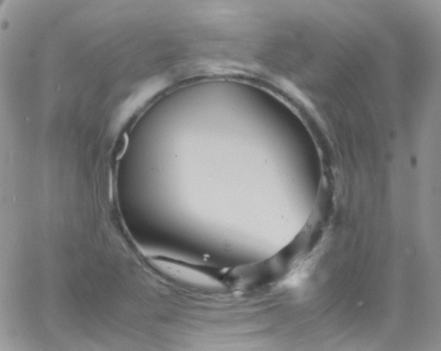 X0000066001269200603172156