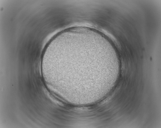 X0000066001272200603172156