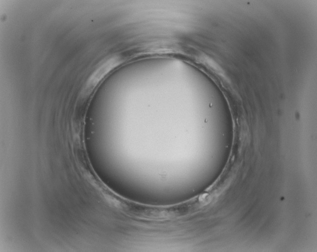 X0000066001273200603172156