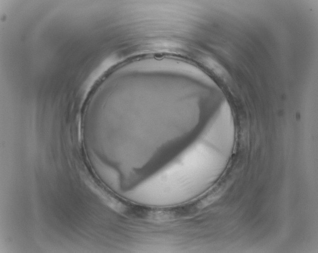 X0000066001275200603172156