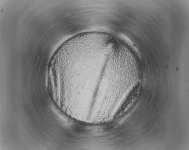 X0000066001276200603172156