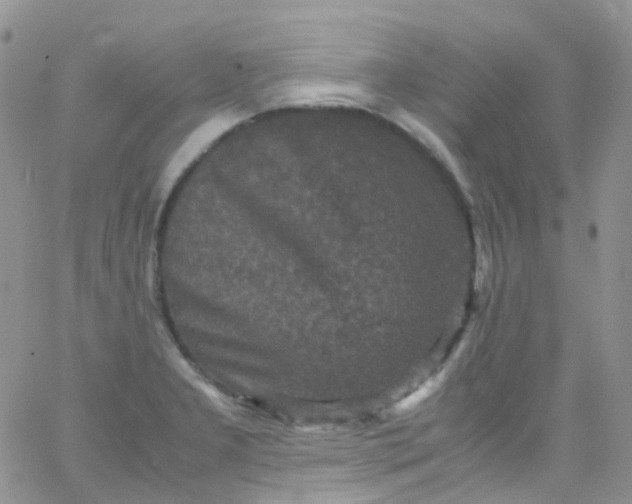 X0000066001277200603172156